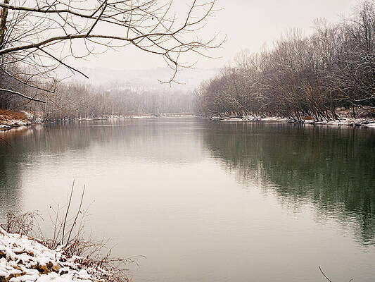 Tree Photograph - Missouri - Meramec by Robert Niemeier