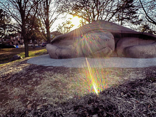 Tree Wall Art featuring the photograph Missouri - Turtle Park by Robert Niemeier