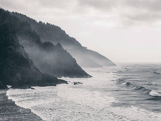 Misty Coastal Landscape Wall Art
