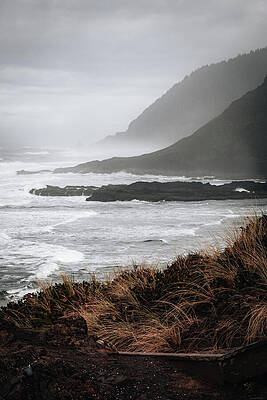 Misty Coastal Landscape Wall Art