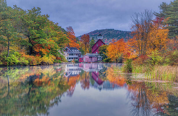 Wall Art featuring the photograph Misty Morning At Grist Mill Pond by Penny Polakoff