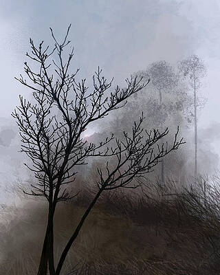 Sky Digital Art - Misty Morning by Gina Harrison