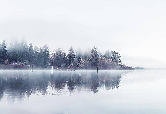 Misty Morning Print