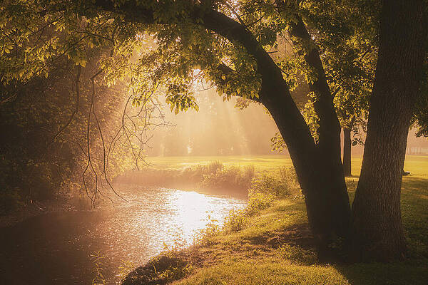 Nature Wall Art featuring the photograph Misty Morning Sunrise Over Jordan Creek by Jason Fink