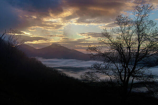 Wall Art featuring the photograph Misty Sunrise In The Blue Ridge Mountains by Deb Beausoleil