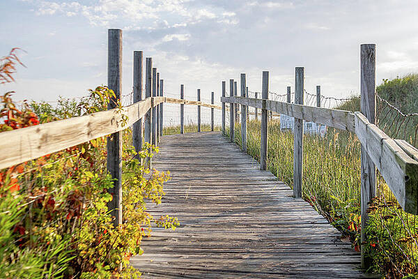 Sky Wall Art featuring the photograph MN Point And Dunes_2342 by Mark Triplett