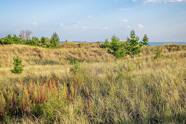 Landscape Photograph - MN Point And Dunes_2343 by Mark Triplett