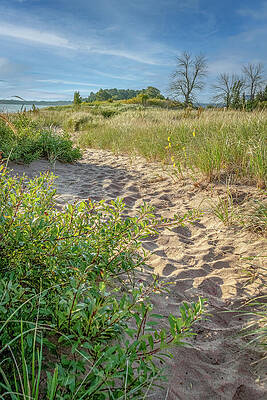 Landscape Photograph - MN Point And Dunes_2358 by Mark Triplett