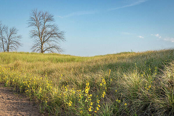 Landscape Photograph - MN Point And Dunes_2360 by Mark Triplett