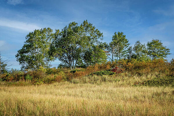 Landscape Photograph - MN Point And Dunes_2362 by Mark Triplett