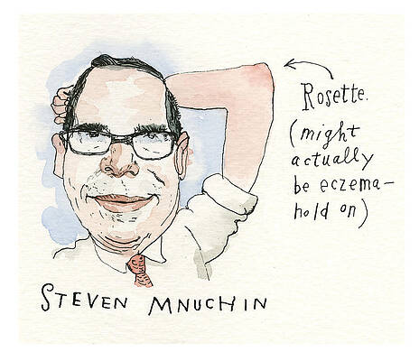 Stone Wall Art featuring the painting Mnuchin Rosette by Barry Blitt