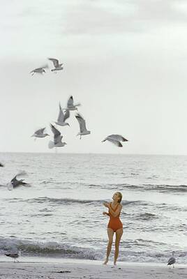 Suit Wall Art featuring the photograph Model On The Beach In A Jantzen Bathing Suit by Bert Stern