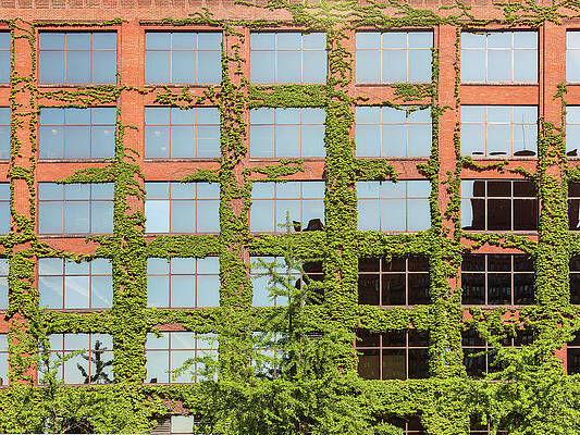 Modern Wall Art featuring the photograph Modern Chicago Office Covered With Plants by Steven Heap