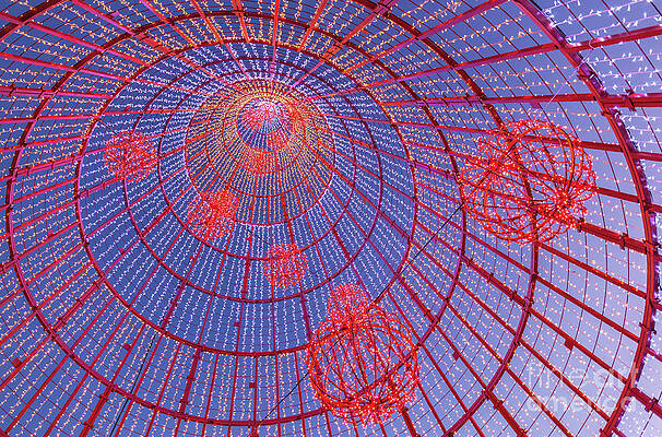 Wall Art featuring the photograph Modern Christmas Tree Sculpture, Funchal, Madeira by Neale And Judith Clark