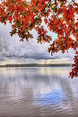 Wall Art featuring the photograph Moen Lake - 13 by Dale Kauzlaric