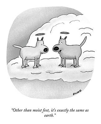 Paw Wall Art featuring the drawing Moist Feet by Lonnie Millsap