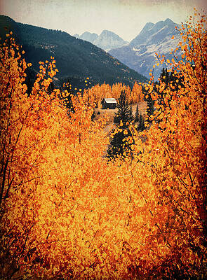 Wall Art featuring the photograph Molas Pass Autumn Texture by Dan Sproul
