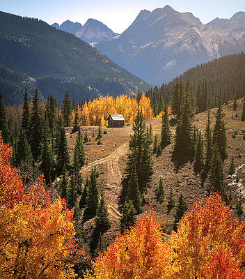 Wall Art featuring the photograph Molas Pass Cabin In Autumn by Dan Sproul