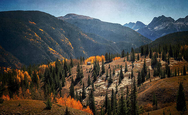 Wall Art featuring the photograph Molas Pass Fall Colors by Dan Sproul