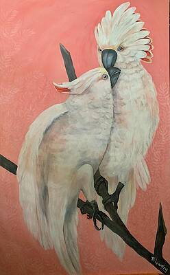 Wall Art featuring the painting Moluccan Cockatoo Pair by Barbara Landry