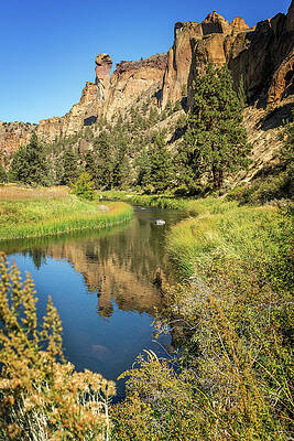 Oregon Photograph - Monkey Face by Diane Moller
