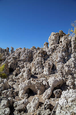 California Wall Art featuring the photograph Mono Lake 14 by Cindy Robinson