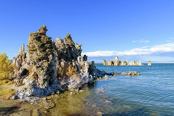 Wall Art featuring the photograph Mono Lake Tufa Towers by William D Briscoe