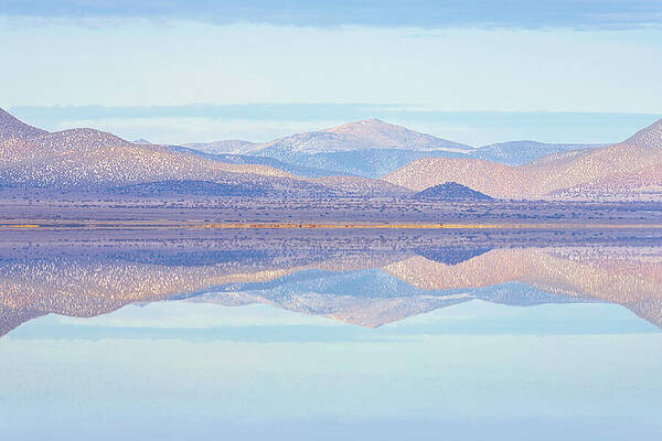 American Wall Art featuring the photograph Mono Mirror - Mono Lake - Lee Vining California by Mike Lee