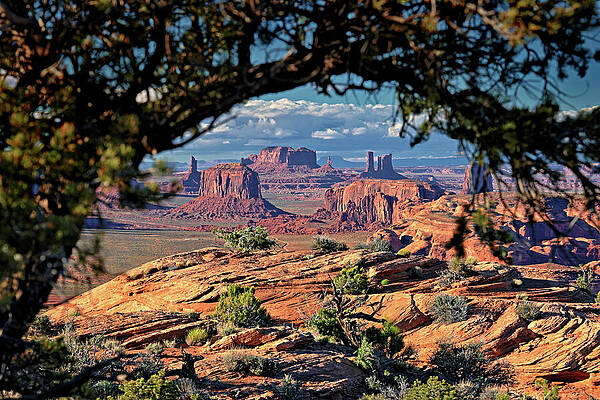 Monument Valley Through Tree Branch by Bob Falcone