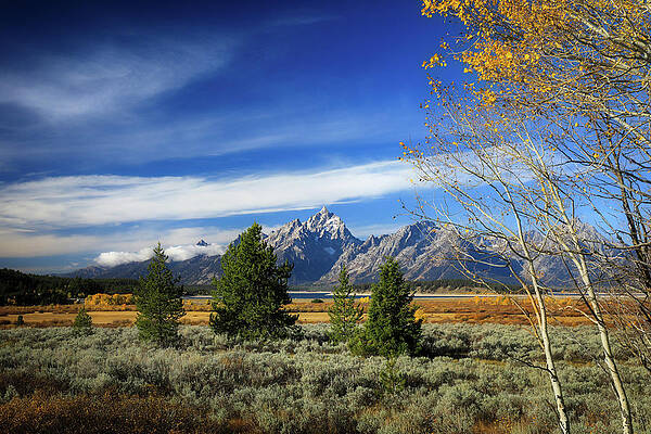 Wall Art featuring the photograph Moody Autumn Morning In Grand Teton National Park by Dan Sproul