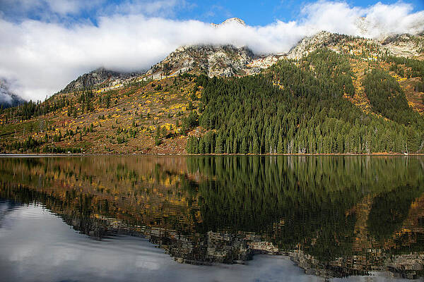 Wall Art featuring the photograph Moody Autumn Reflection String Lake Grand Tetons by Dan Sproul