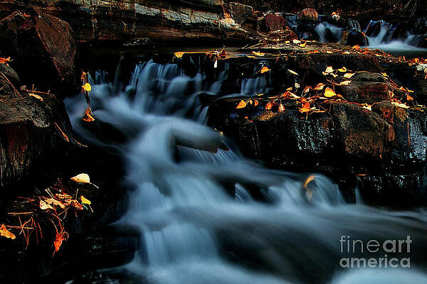 Wall Art featuring the photograph Moody Fall Day At The Creek by Thomas Nay