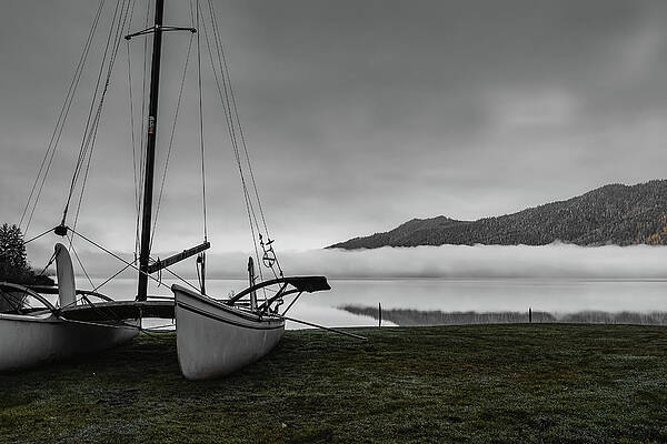 No People Wall Art featuring the photograph Moody Mornings by Shannon Williams