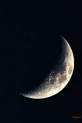 Sky Wall Art featuring the photograph Moon In Shadow by Rene Vasquez