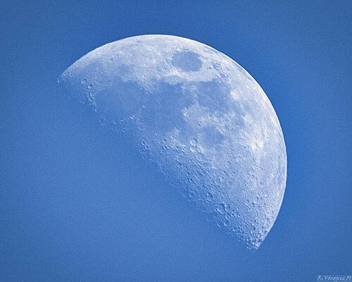 Sky Wall Art featuring the photograph Moon Over Norfolk by Rene Vasquez