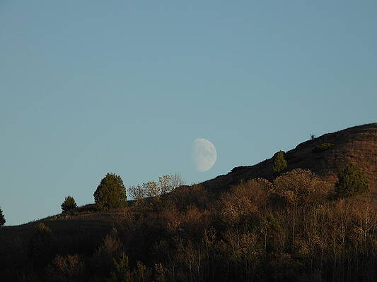Sky Photograph - Moon Rising by Amanda R Wright