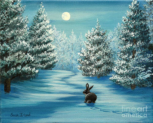 Moonlighting by Sarah Irland