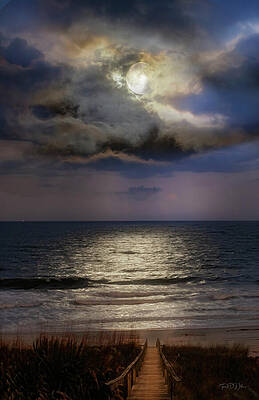 Moonlit Path to the Ocean Photograph