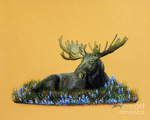 Painting - Moose In Flowers by Shirley Dutchkowski