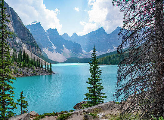 Summer Wall Art featuring the photograph Moraine Lake In Banff National Park, Alberta, Canada by John Twynam