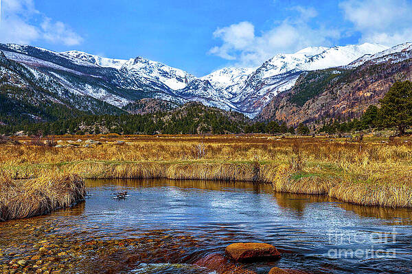 Moraine Park in Rocky Mountain National Park by Shirley Dutchkowski