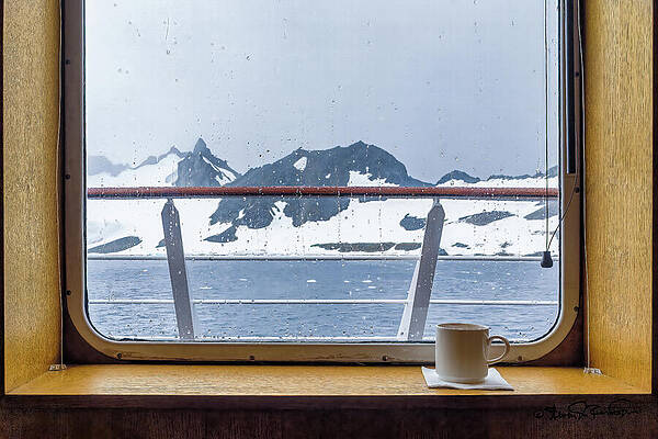Wildlife Wall Art featuring the photograph Morning Bliss With Coffee In Antarctica by Steven Dos Remedios