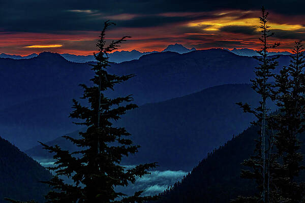 Washington Wall Art featuring the photograph Morning Blues by Tim Lyden