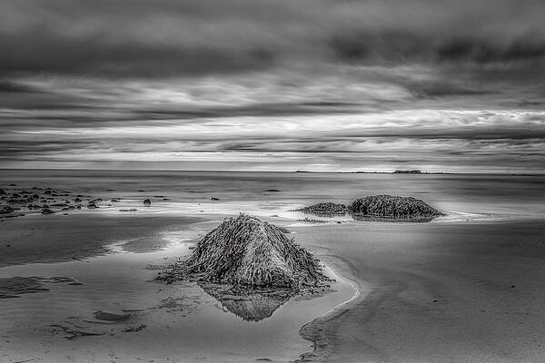 Wall Art featuring the photograph Morning Drama by Penny Polakoff
