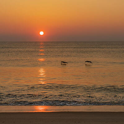 Nature Wall Art featuring the photograph Morning Glow by David Fountain