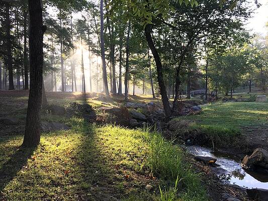 Beautiful Wall Art featuring the photograph Morning Has Broken by Greg Lane