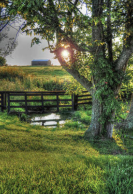 Photograph - Morning Has Broken by Randall Dill