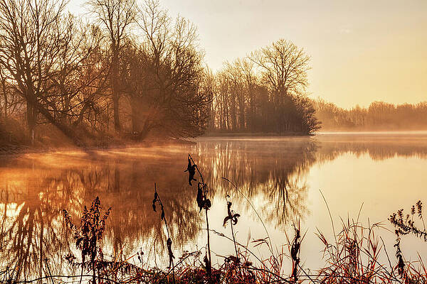 Serene Photograph - Morning Haze On The Lake by Tatiana Travelways