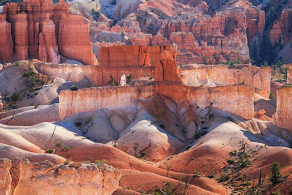 Utah Wall Art featuring the photograph Morning In Bryce Canyon by Diane Moller