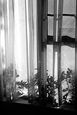 Portland Photograph - Morning Light by Mia Badenhorst